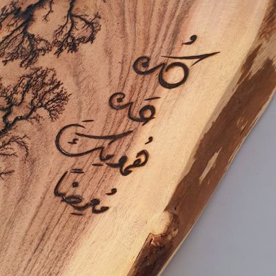 كن عن همومك معرضا - جذع شجر