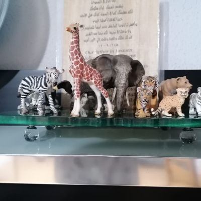 صينية ريزن أنيقة 