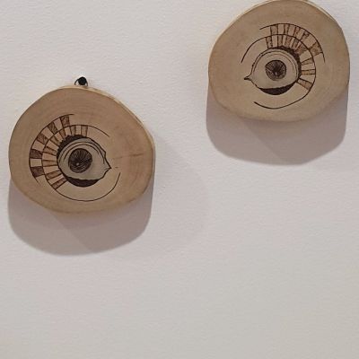 جذع شجر - Twin Bird's Eye