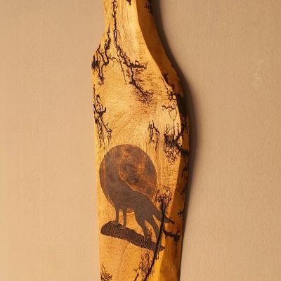 ليل وظل - جذع شجر