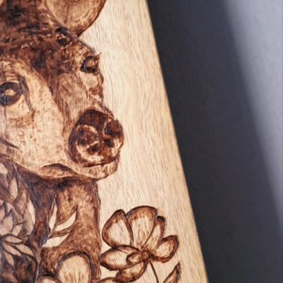 غزالة القلب - جذع شجر