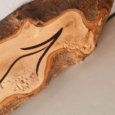 Welcome Home - جذع شجر زيتون