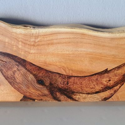 صغير الحوت - جذع شجر