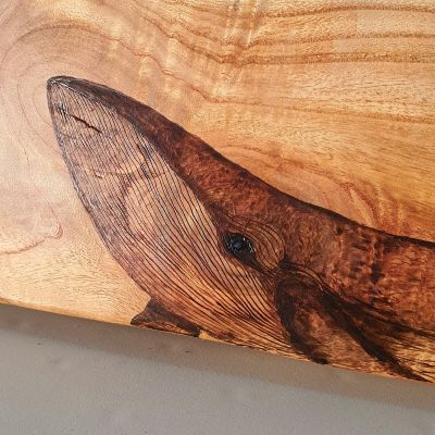 صغير الحوت - جذع شجر