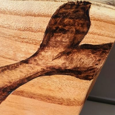 صغير الحوت - جذع شجر