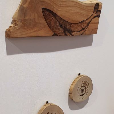 صغير الحوت - جذع شجر