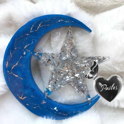  ٢ كوستر رمضاني ريزن 