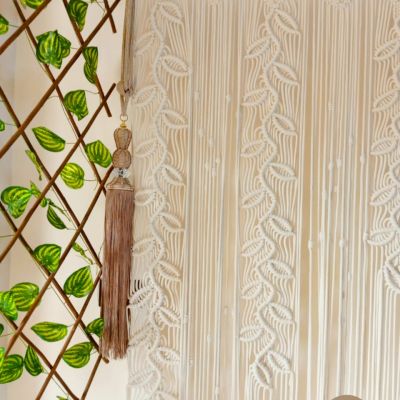 ستاره مكرميه 