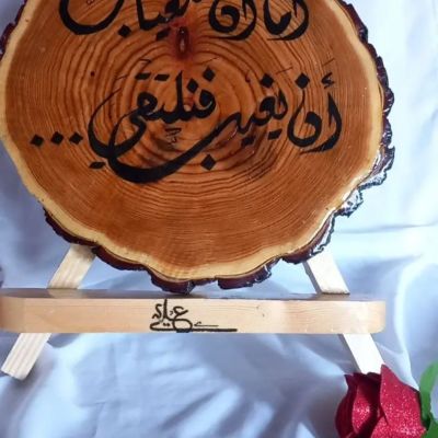 بورتريه احترافي 