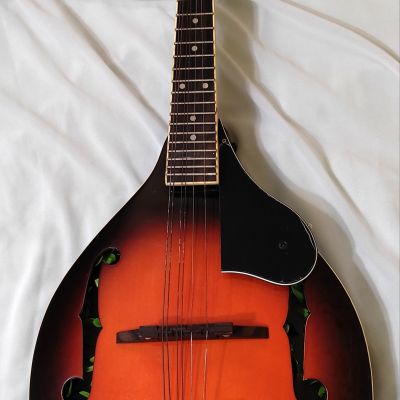 ديكور داخل آله ماندولين  