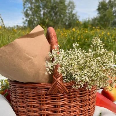 Picnic basket 