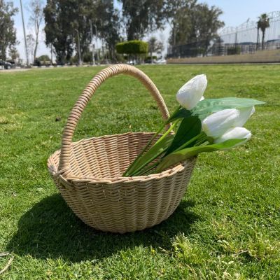 باسكت متعدد الاستخدامات 