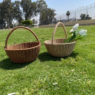 باسكت متعدد الاستخدامات 