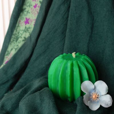 شمعه الصبار