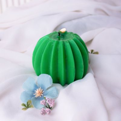 شمعه الصبار