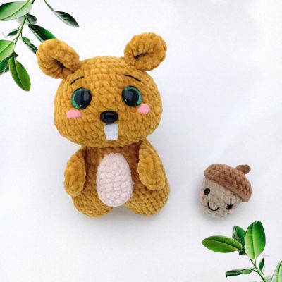 السنجاب و الجوزة اميجرومي 