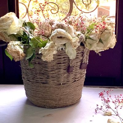 باسكت متعدد الاستخدامات 