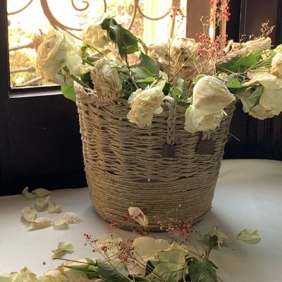 باسكت متعدد الاستخدامات 