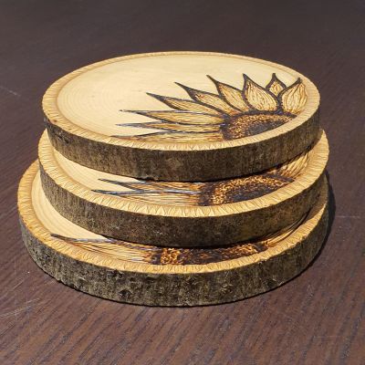 كوسترات عباد الشمس - حرق يدوي