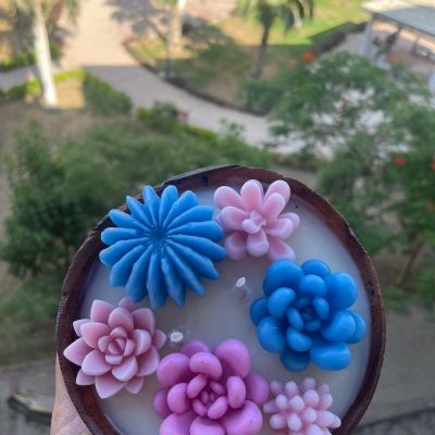 بوت خشبي (ميكس صبار )