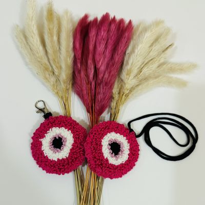 دلايه حقيبه و دلايه سياره