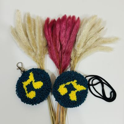 دلايه سياره و دلايه حقيبه