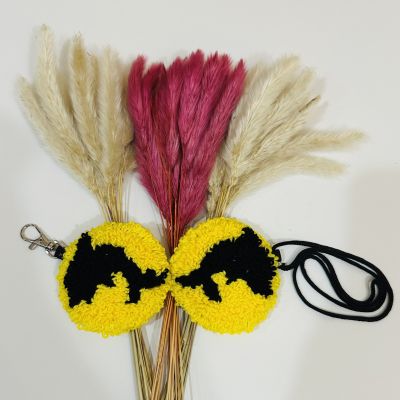 دلايه سياره و دلايه حقيبه 