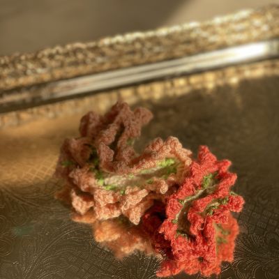 مفرش للاكواب