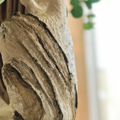 فازه كونكريت 