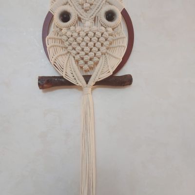 Owl macrame wall hanging