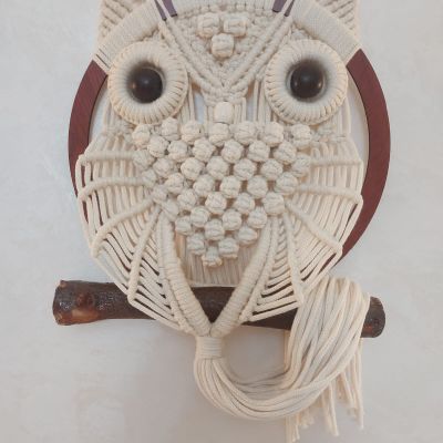 Owl macrame wall hanging