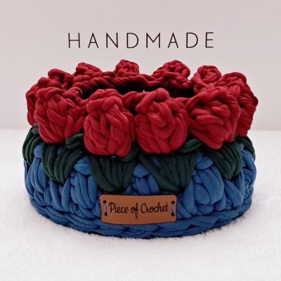 منظم بورد التيوليب