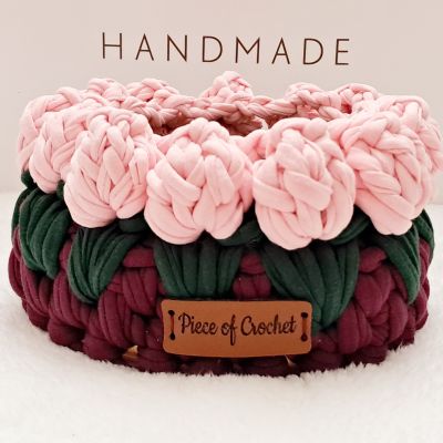 منظم بورد التيوليب