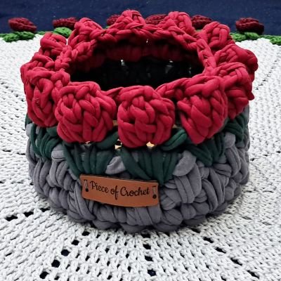 منظم بورد التيوليب