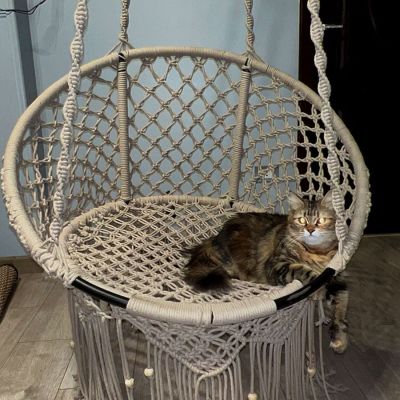 كرسي مكرميه معلق هزاز