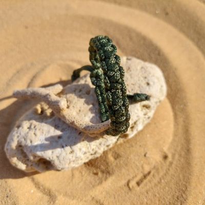 اسورة بعقدة مربعة زيتي