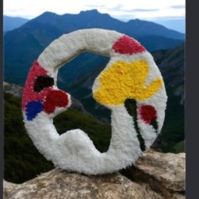 مرايا البانيش نيدل