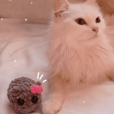 دمية هامستر 