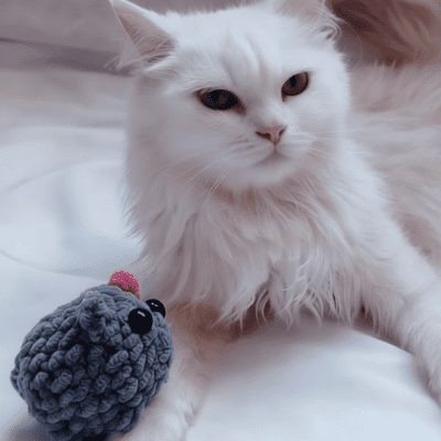 دمية هامستر 