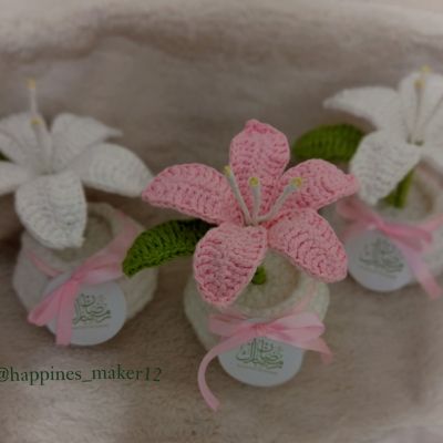 زهرة الزنبق