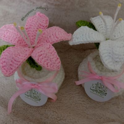 زهرة الزنبق