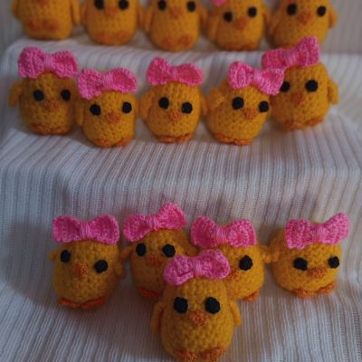 توزيعات مادلية الكتكوت