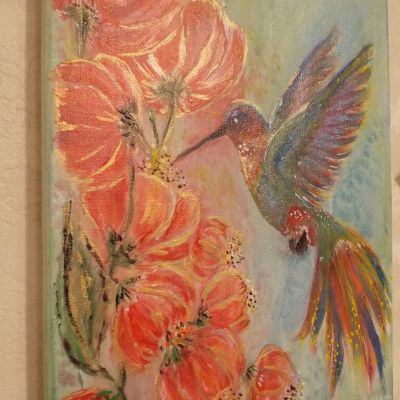Hummingbird 