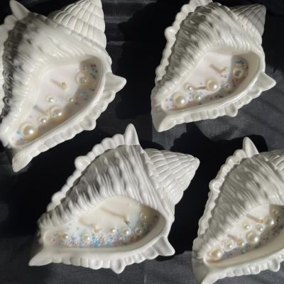 شمعه القوقعه الكبيره 