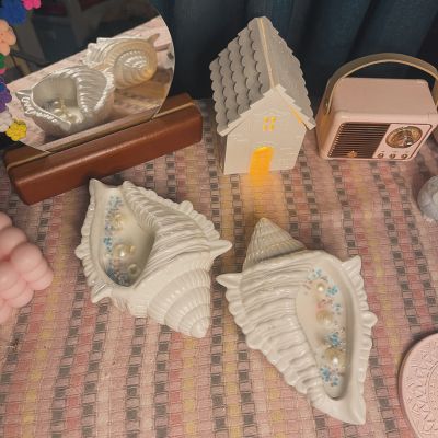 شمعه القوقعه الكبيره 