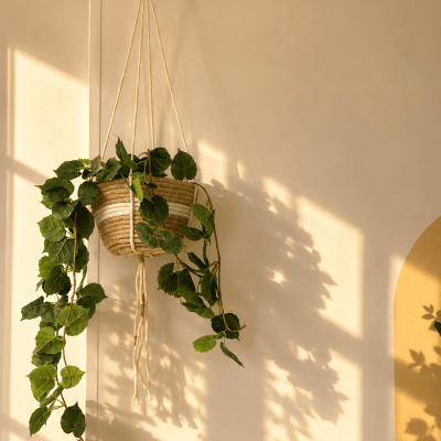 Plant pot with hanger