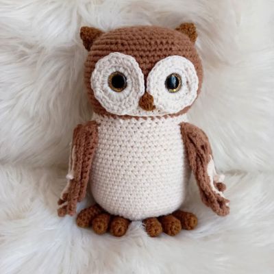 A cute owl