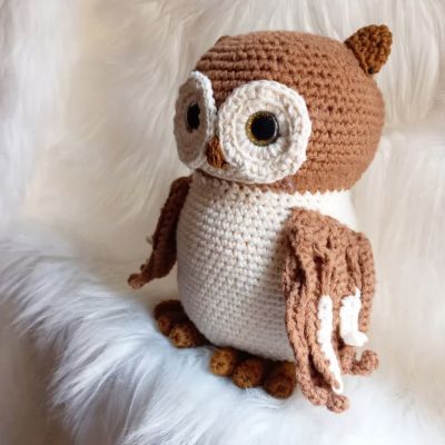 A cute owl