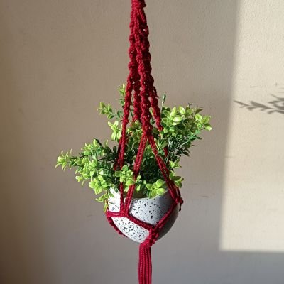 Macrame plant hanger