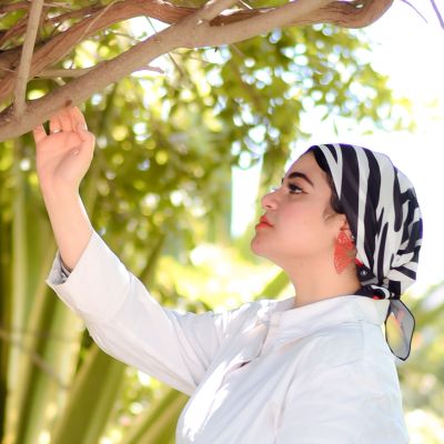 زيبرا صغير- شيفون 